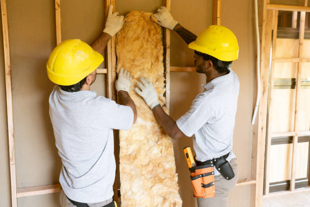 Best Wall Insulation Contractor  in Greenbrier, TN