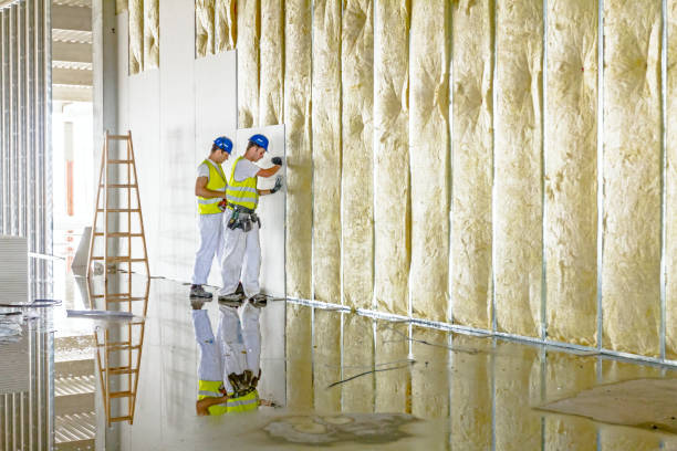 Best Local Insulation Services  in Greenbrier, TN